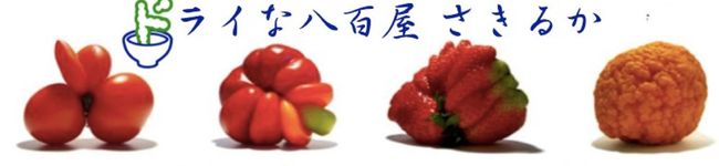ドライな八百屋's header image
