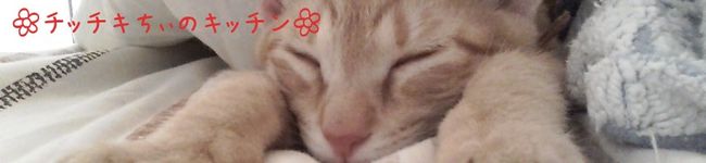 チッチキちぃ's header image