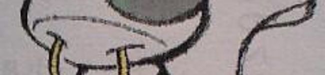 もりふち's header image