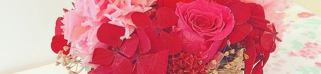 hikarin♪'s header image