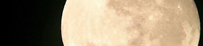 pipipipimi's header image