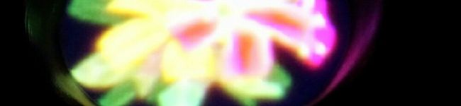 すーぬ's header image