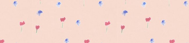 nokino喫茶's header image