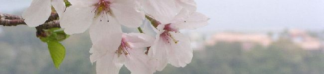 まてこママ's header image