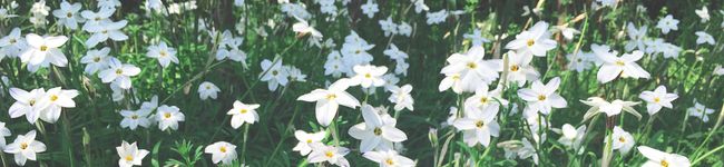 er029733's header image