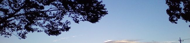 さいとうようこち's header image