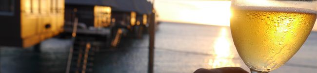 こったんmama's header image