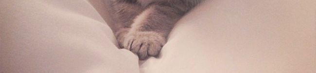 mariebaby♡'s header image