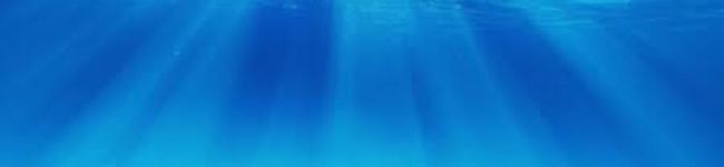 タイチ。's header image