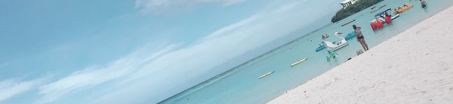 Flocke's header image