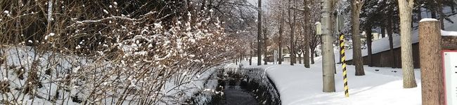 えびフライのしっぽ's header image
