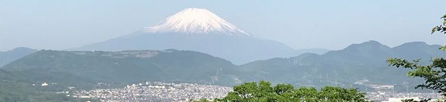 オイキムチ's header image