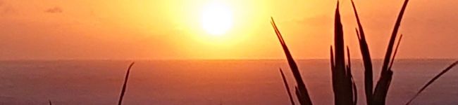 FALKANABUN's header image