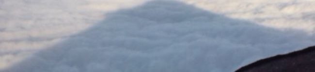 みたいママ's header image