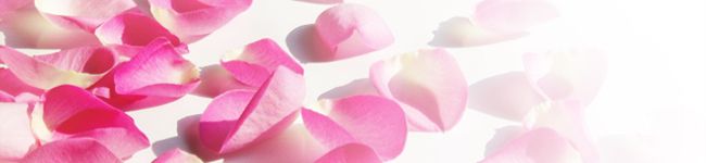 料理嫌いの主婦's header image