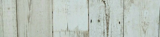 白チョコ's header image