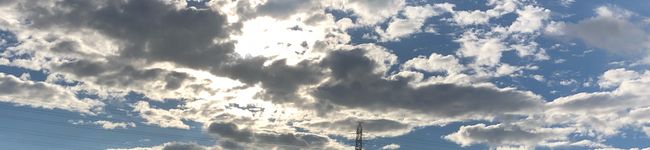 さえね's header image