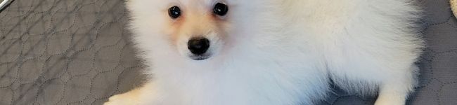 ななあきゆき's header image
