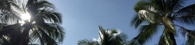 annyasham's header image