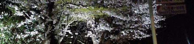 HARUKI．'s header image