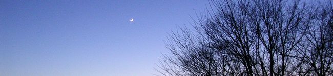 ひいら's header image