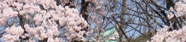 nayu-mama's header image
