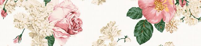 REANO〜☆'s header image