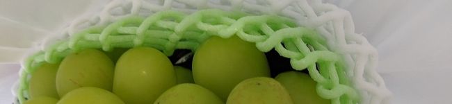 MashiroM's header image