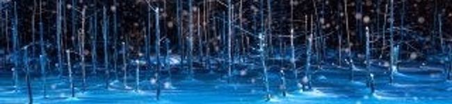ewigeleave's header image