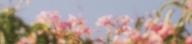 お水ちゃん's header image