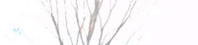 .misaki.'s header image