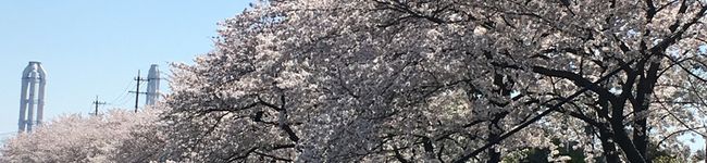 レオシオ❤'s header image
