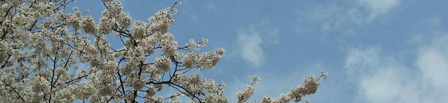 kotobuki☆'s header image