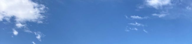 腹ペコたかさん's header image