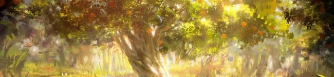 瑠華るか's header image