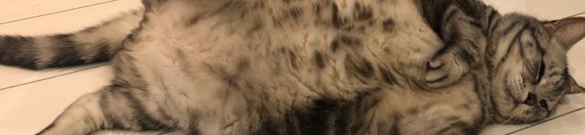 Daniella15's header image