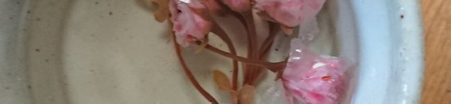 tetuko食堂's header image