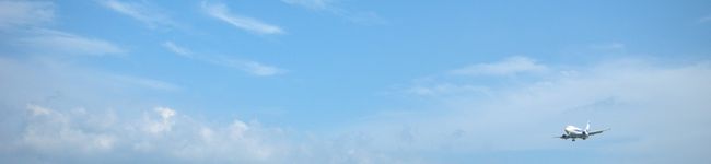 杏シャーベット's header image