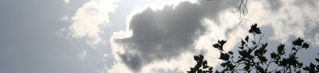 ありっぽ's header image
