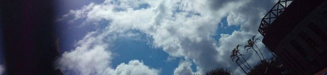 yみぐもうy's header image