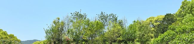 izoz's header image