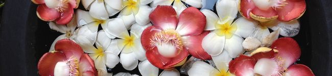BOBITARA's header image