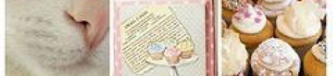 結城志円's header image