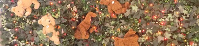 pakira555's header image