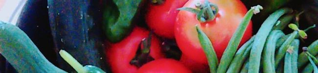 CzuDELI's header image