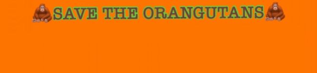 オランウータンが好き's header image