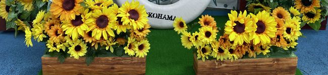 メロンな's header image