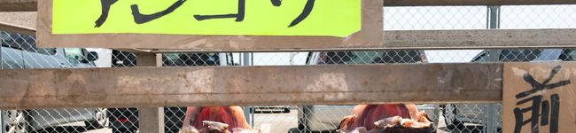 Tomさんキッチン's header image