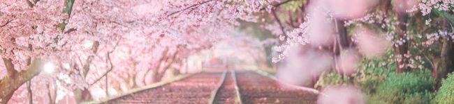 KonKen1229's header image