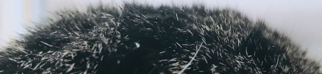 ykykT's header image